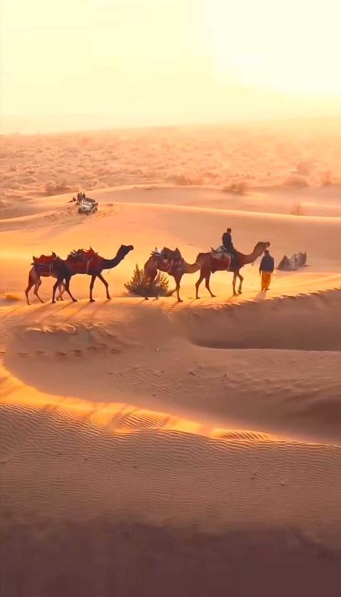 Enjoy a Luxury Experience